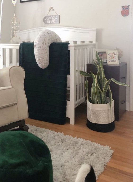 Nursery Crib and Air Purifying Plant | FurloughedFoodie.com