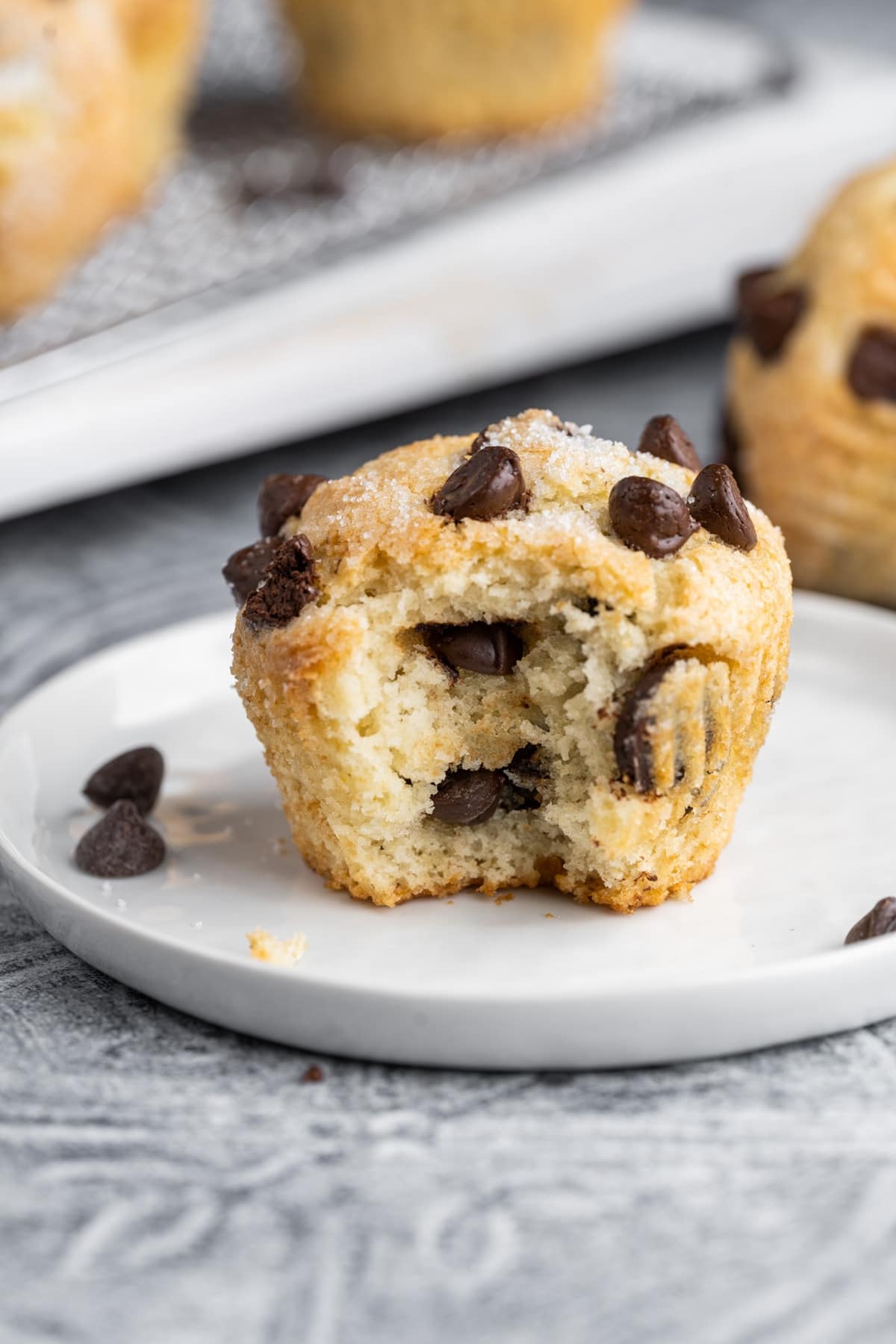 Delicious OneBowl Chocolate Chip Muffins — Marley's Menu