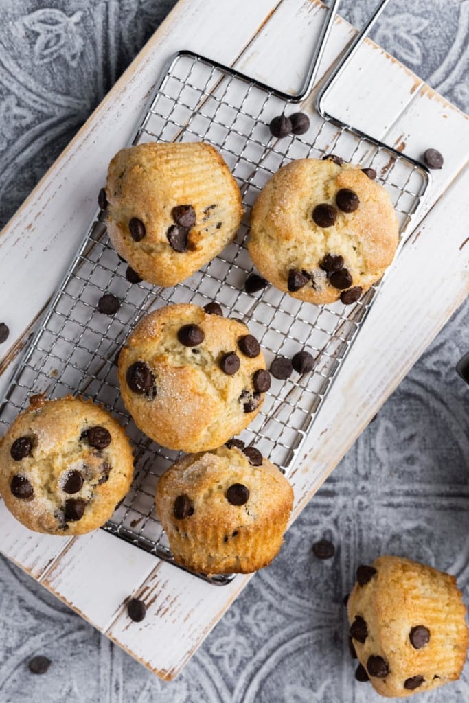 Overhead shot of 6 One-Bowl Chocolate Chip Muffins