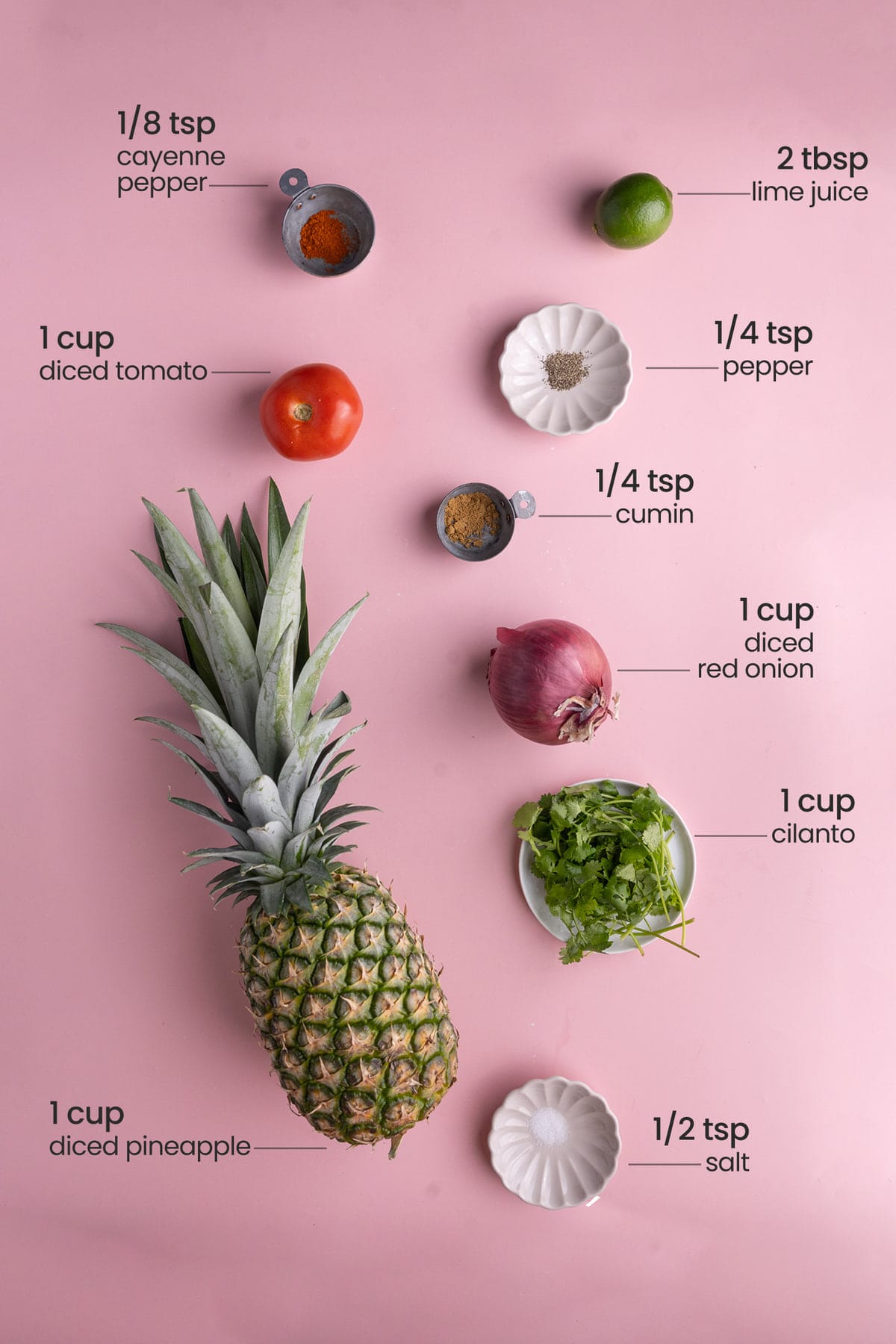 ingredients for pineapple pico de gallo - cayenne pepper, lime juice, diced tomato, pepper, cumin, diced red onion, cilantro, salt, pineapple