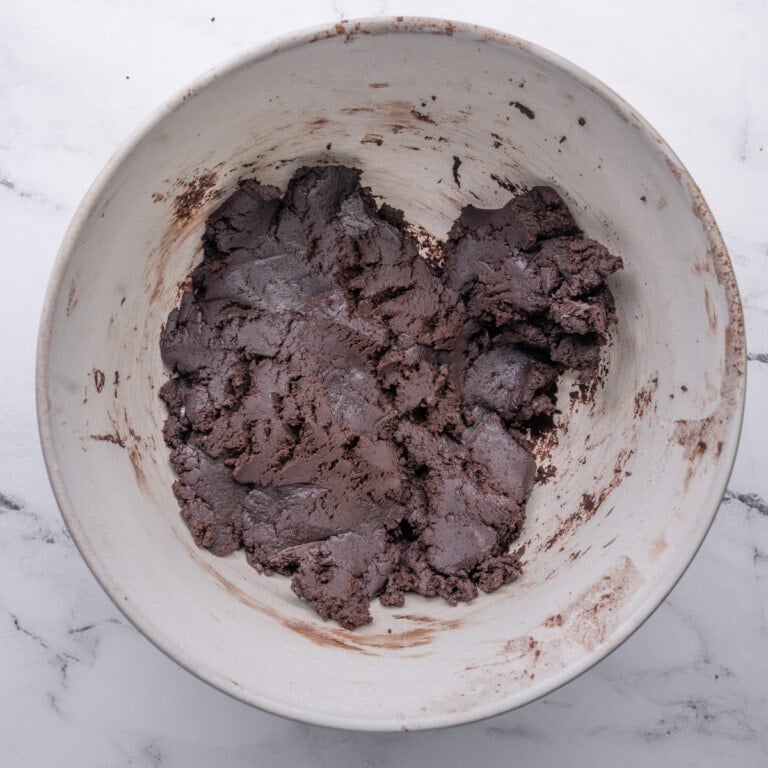 Chocolate Peppermint Cookie Dough before rolling out