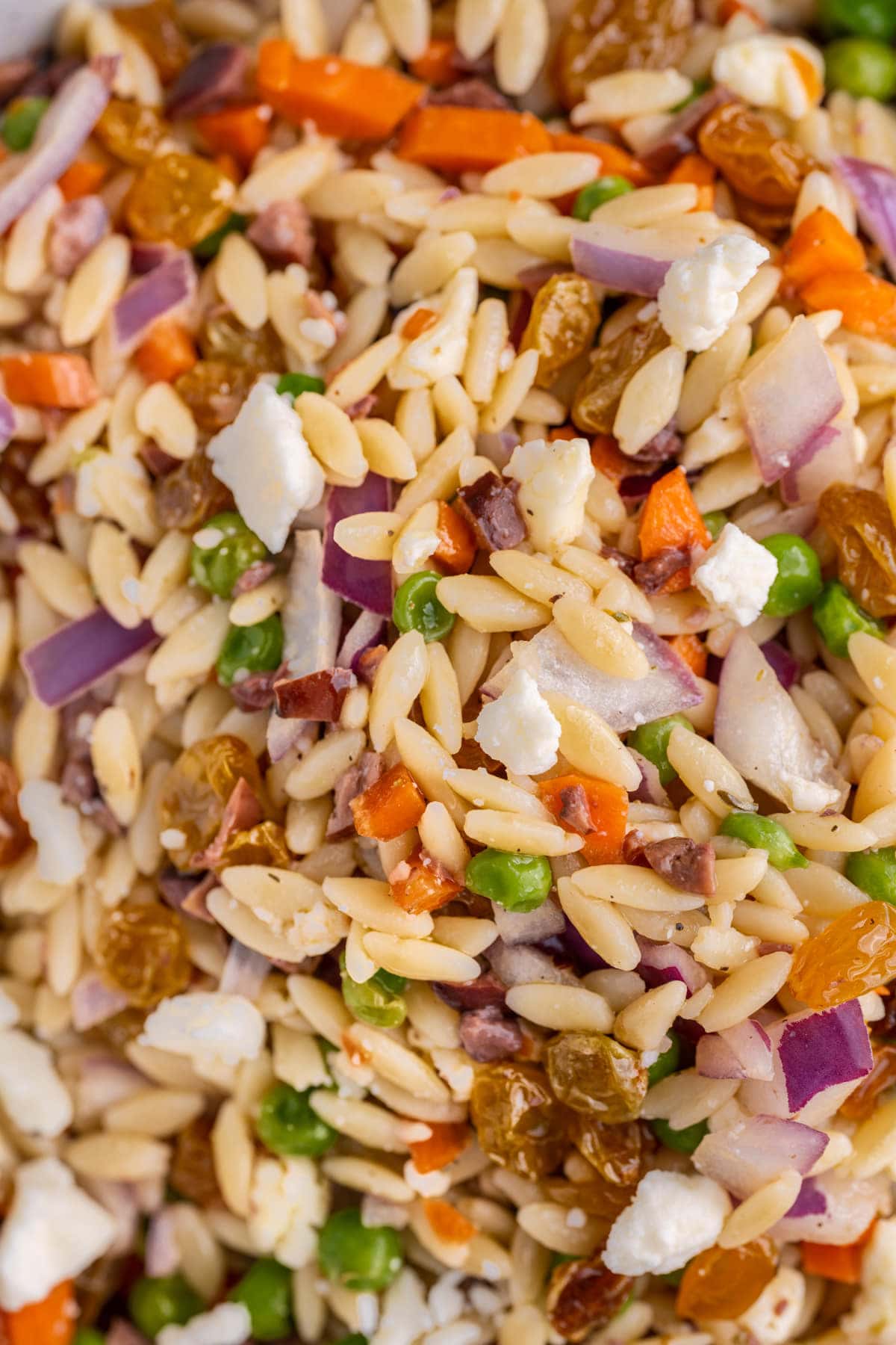 Close up of Rainbow Orzo Salad