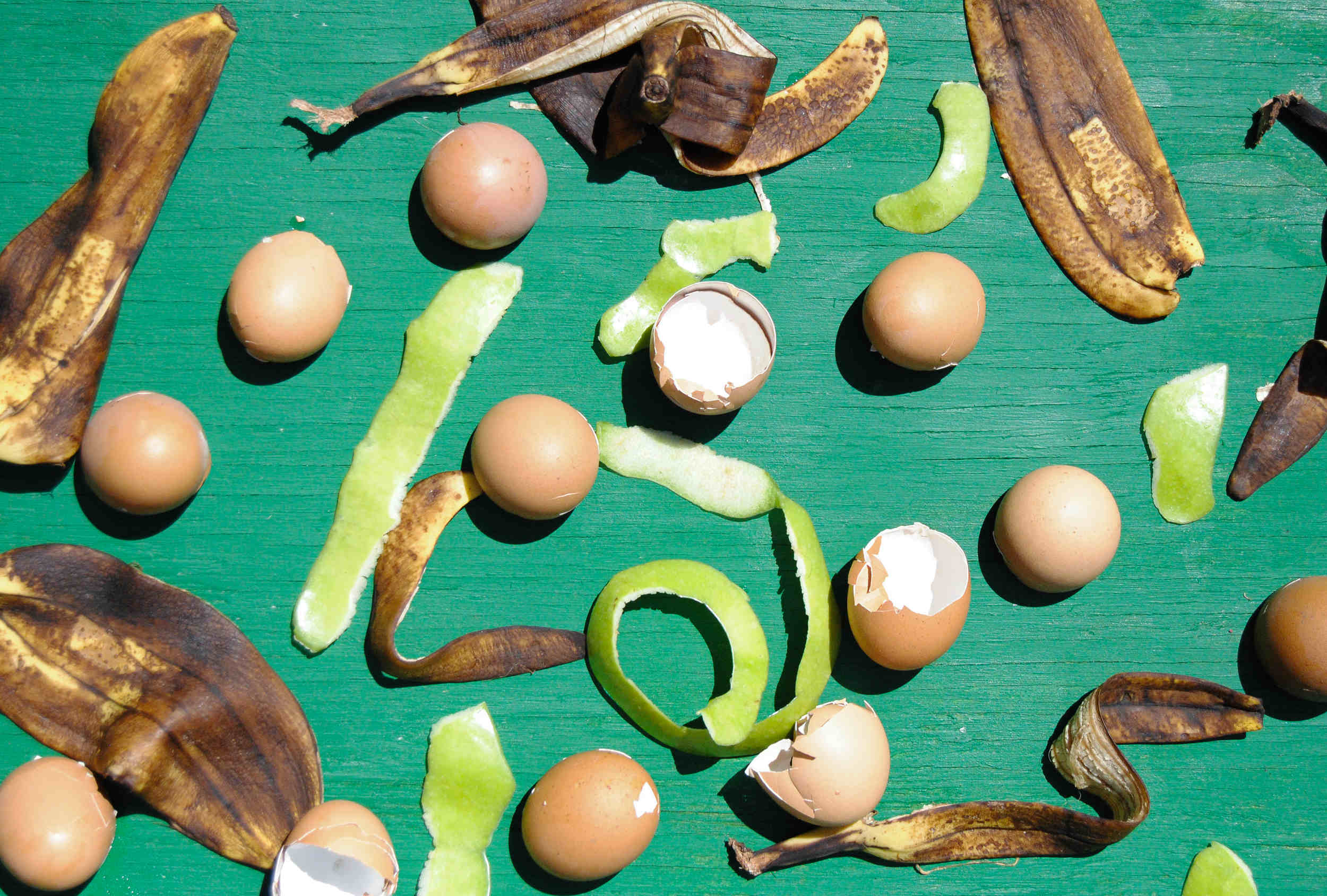 food waste represented by eggshells banana peels and apple peel