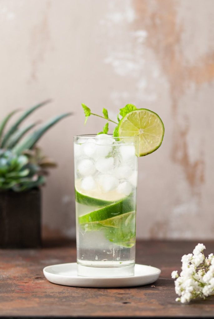 One Fizzy Mojito With Lime and Mint Garnish