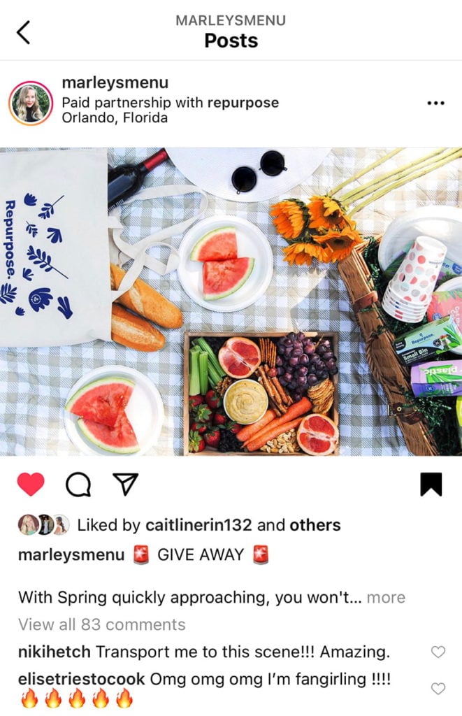 Screenshot of a sponsored post on Instagram, picture of a picnic scene with fruit, bread and wine on a blanket
