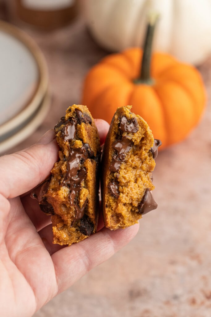 Pumpkin Chocolate Chip Cookie split in half with melty chocolate