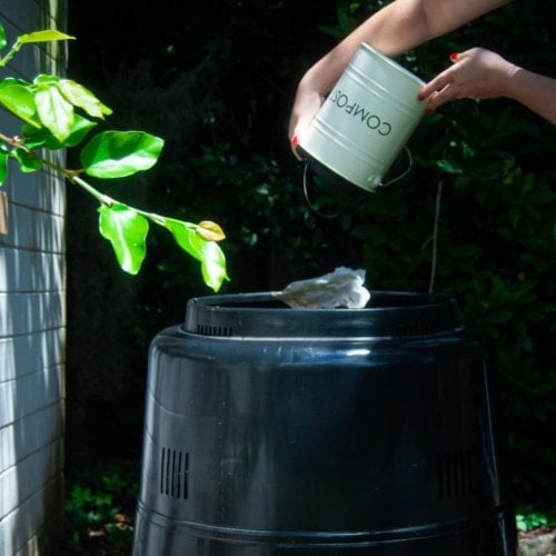 pouring kitchen compost pail into outside compost bin to represent advantages of composting