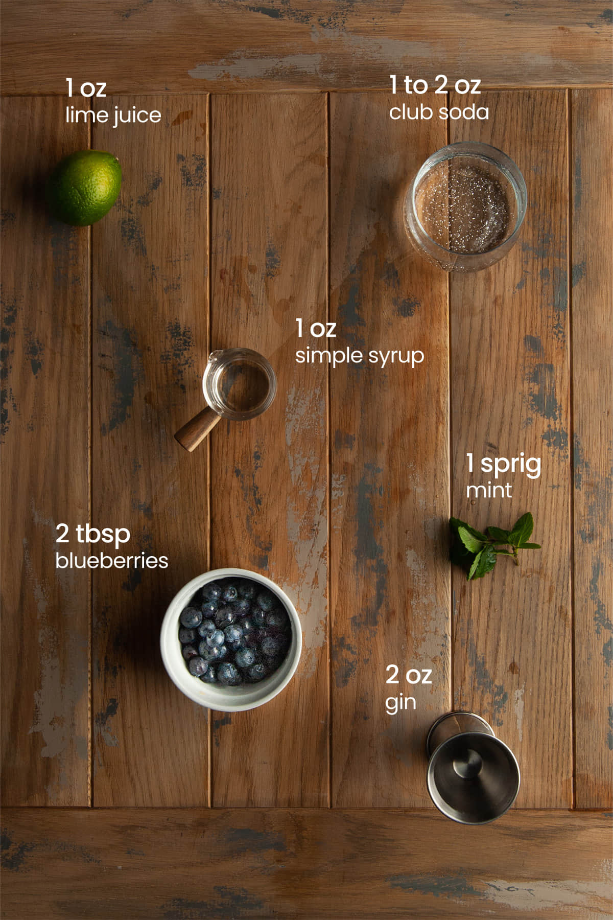 Everything you need to make a blueberry gin fizz including lime juice, club soda, simple syrup, mint, fresh blueberries, and gin.
