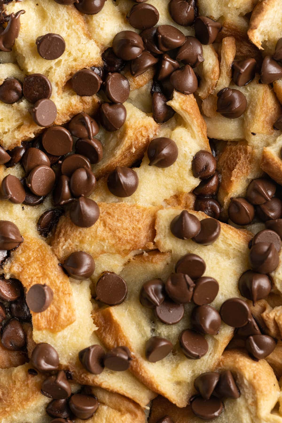 Close up overhead shot of Bread Pudding with chocolate chips