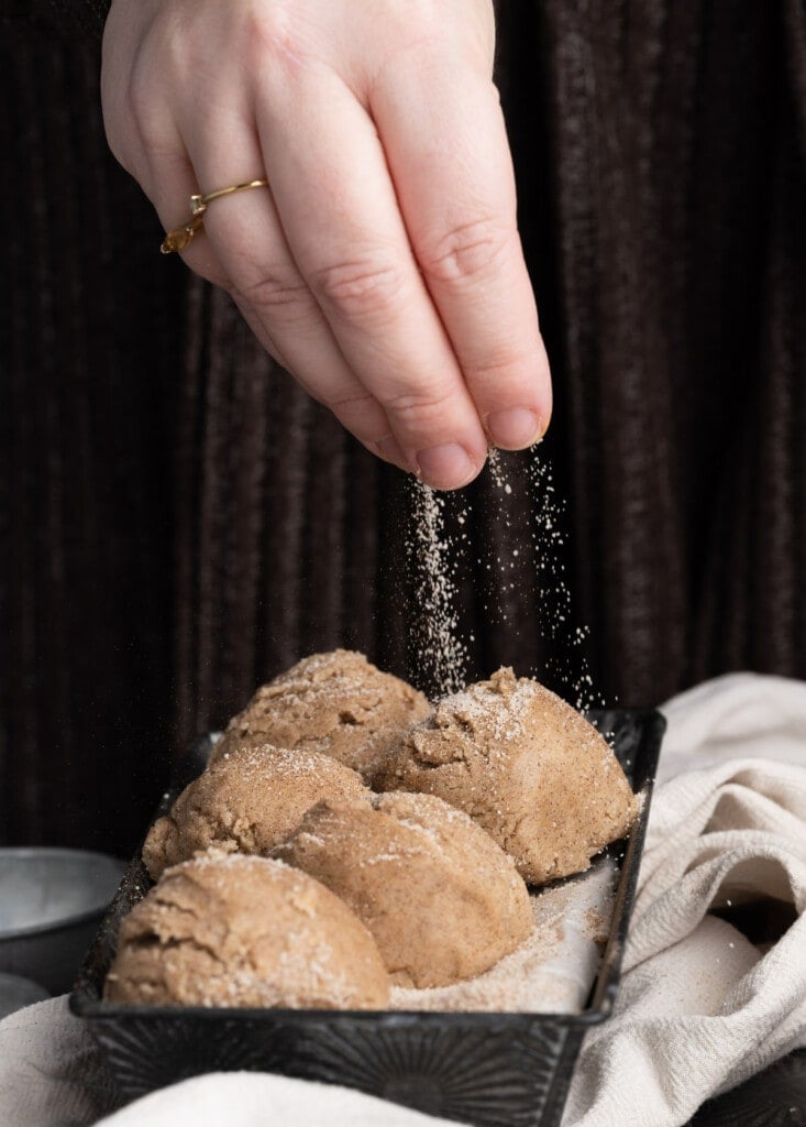 Adding extra cinnamon sugar to Edible Snickerdoodle Cookie Dough