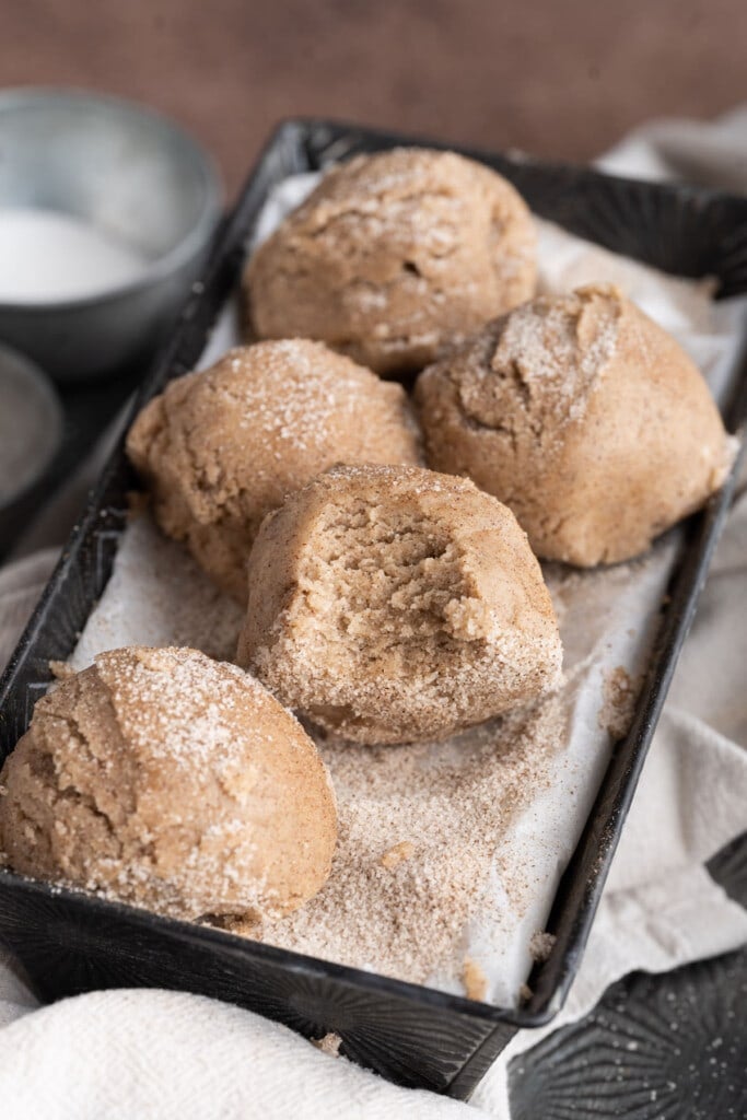 Close up of Edible Snickerdoodle Cookie Dough 