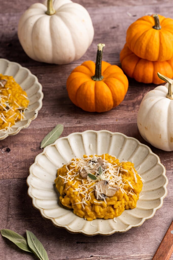 Plated Pumpkin and Mushroom Risotto surrounded by orange and white mini pumpkins