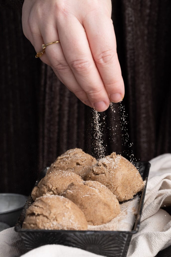 Adding extra cinnamon sugar to Edible Snickerdoodle Cookie Dough.