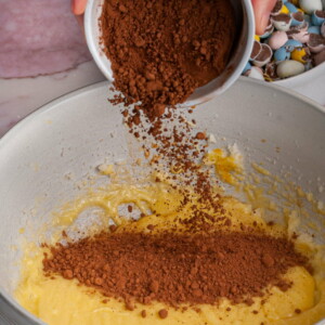 Adding cocoa powder to brownie mix