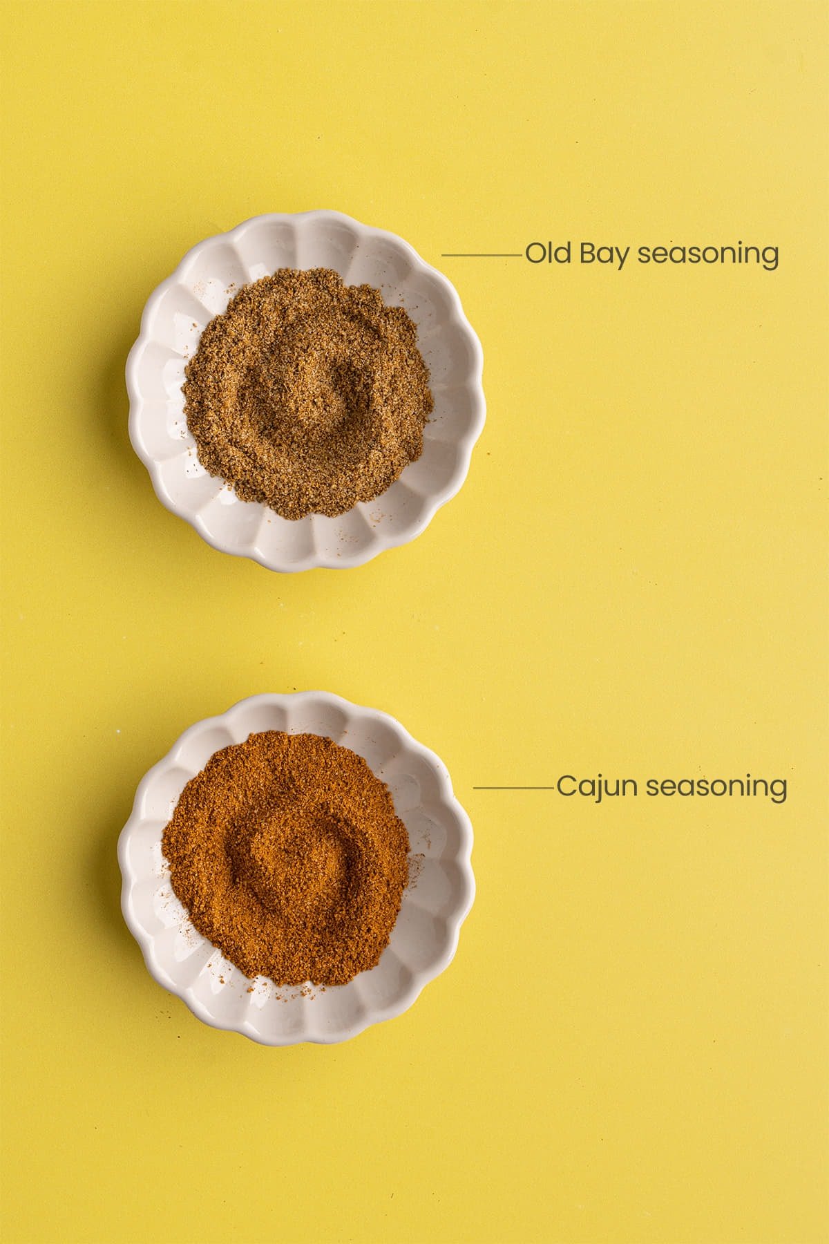Two dishes of seasoning to compare Cajun Seasoning and Old Bay Seasoning
