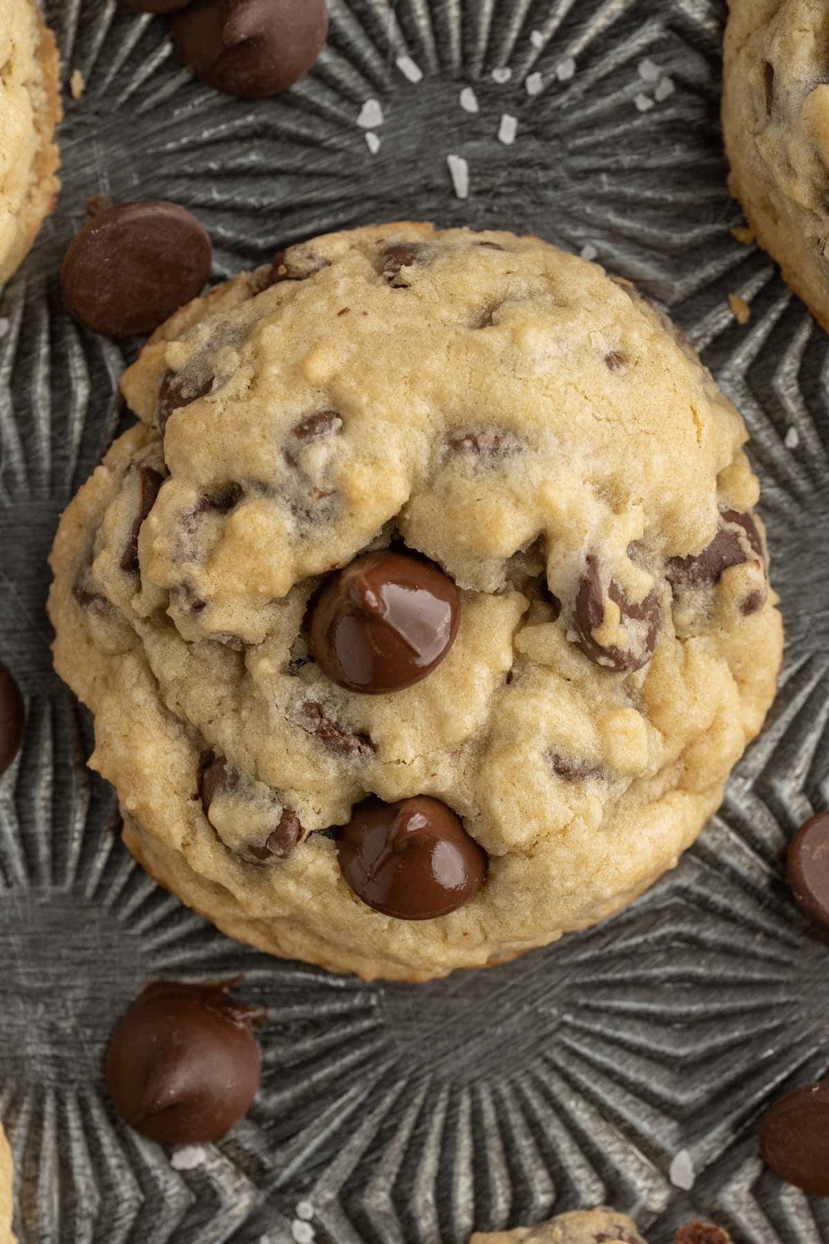 Close up of Chocolate Chip Cookies with no eggs