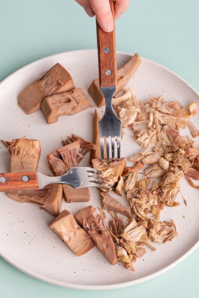 Using two forks to shred jackfruit to resemble shredded meat