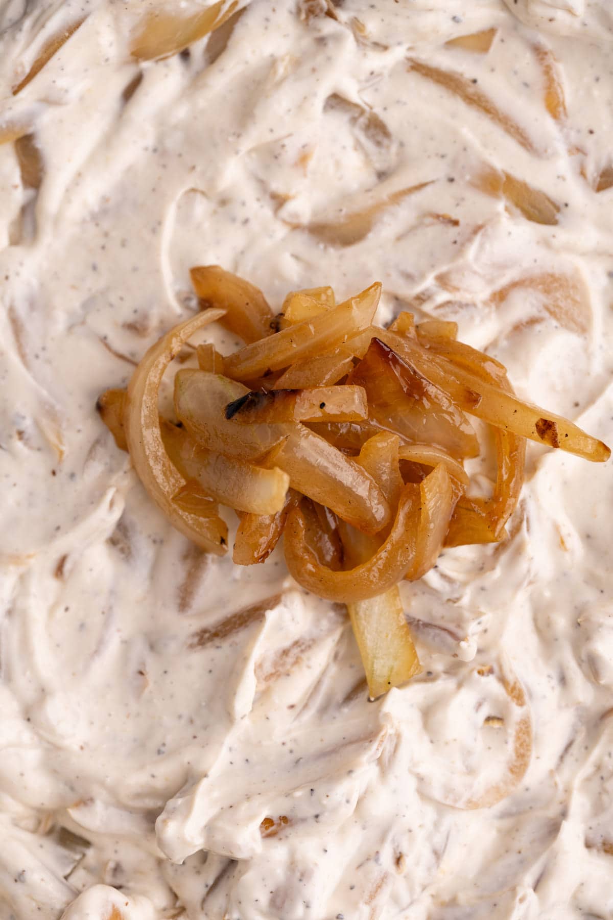 Close up of Caramelized Onion Dip