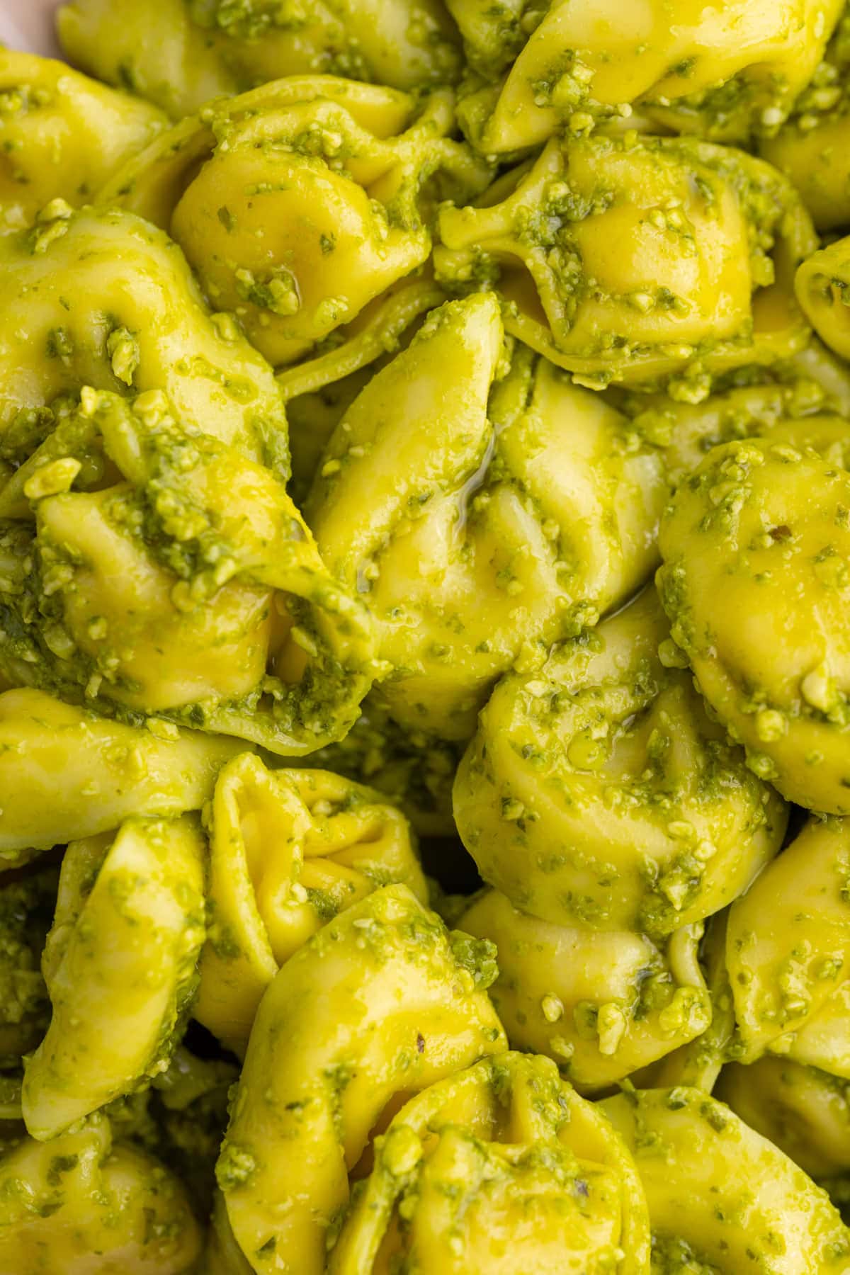 Close up of cheese tortellini coated in pesto