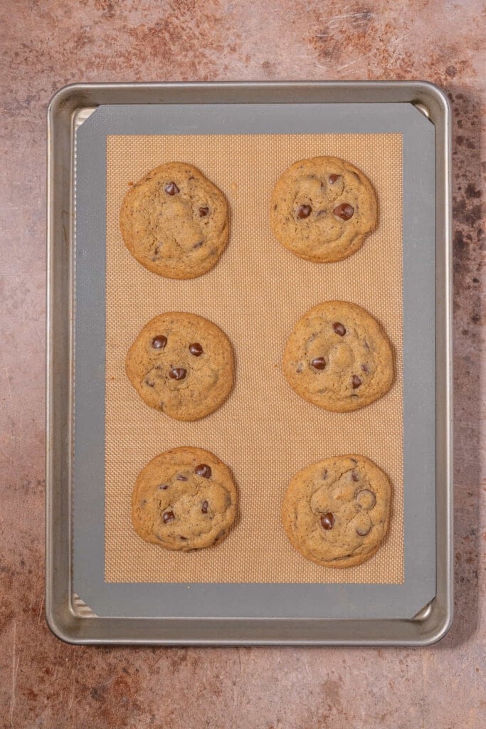 Chocolate Chip Coffee Cookies Fresh out of the oven