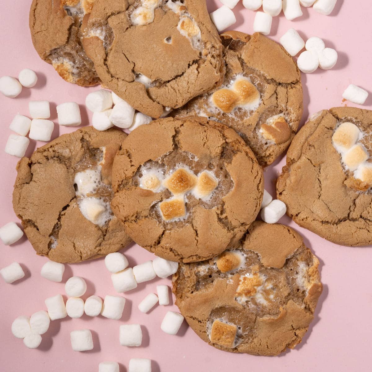 Toasted Marshmallow Cookies on a pink background