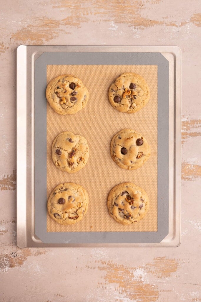 Freshly baked chocolate chip cookies with walnuts cooling on the baking sheet.