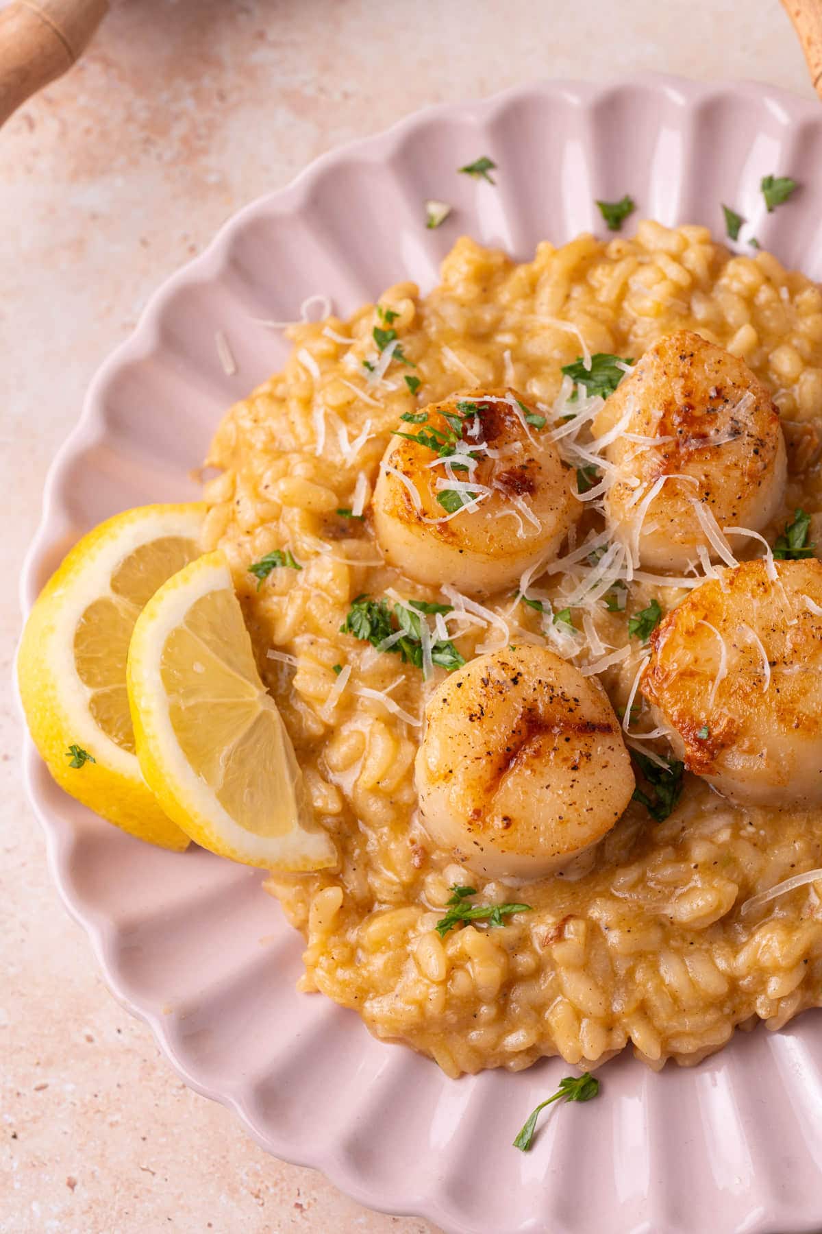 Close up od creamy lemon risotto with golden brown pan-seared sea scallops on top. 