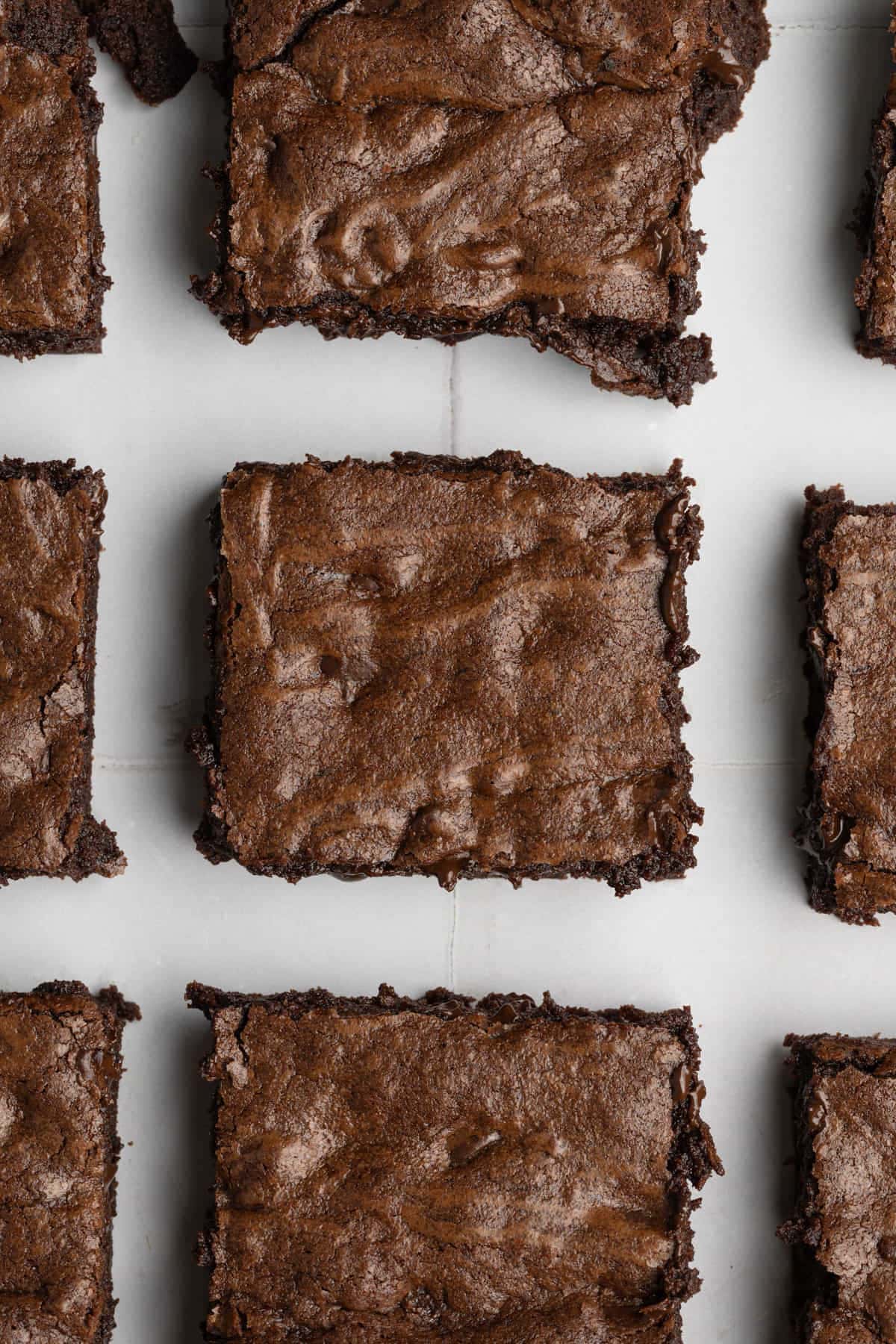 Chocolate chip brownies lined up with a little space in between each one. 