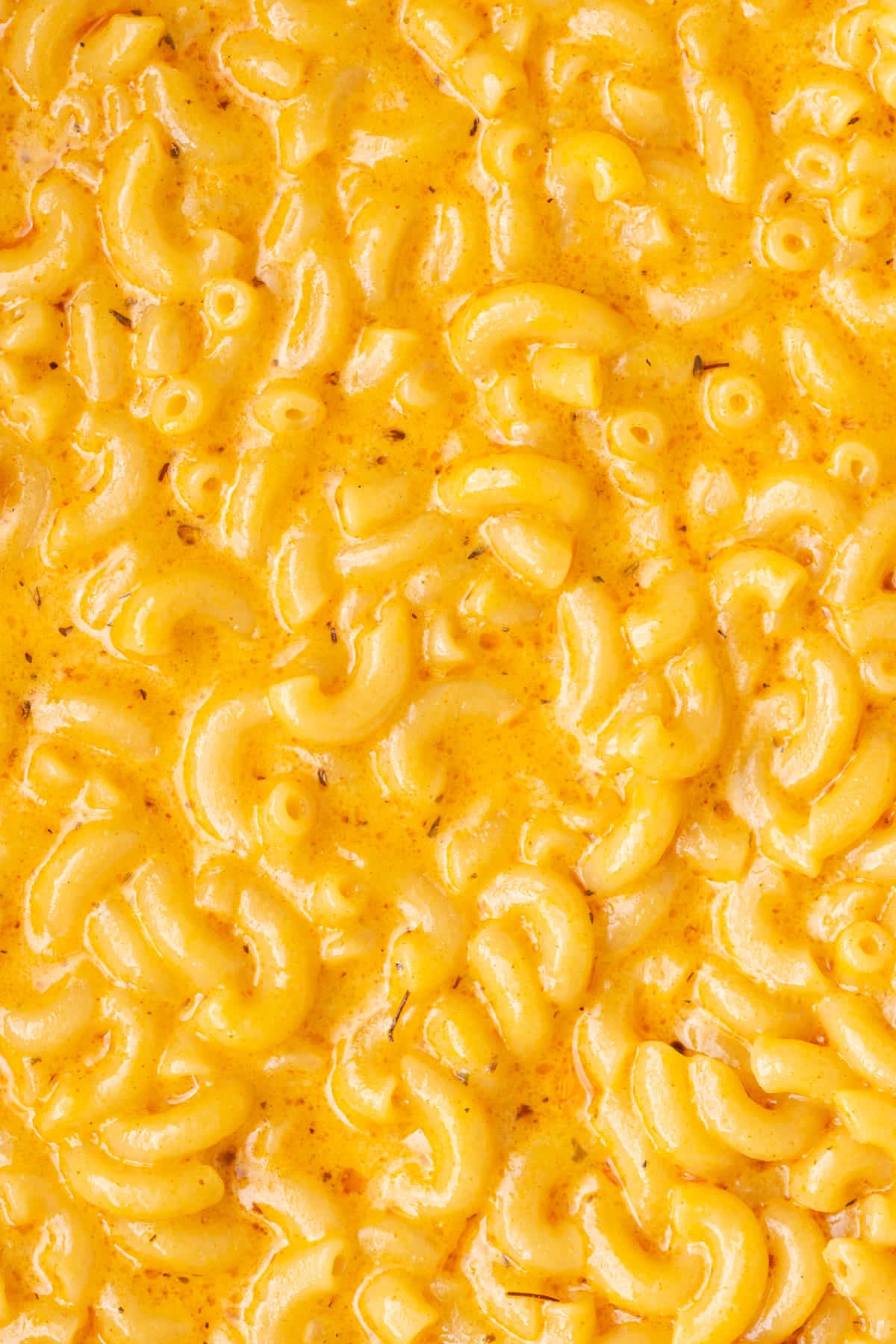 Close up of macaroni and cheese with Cajun seasoning.