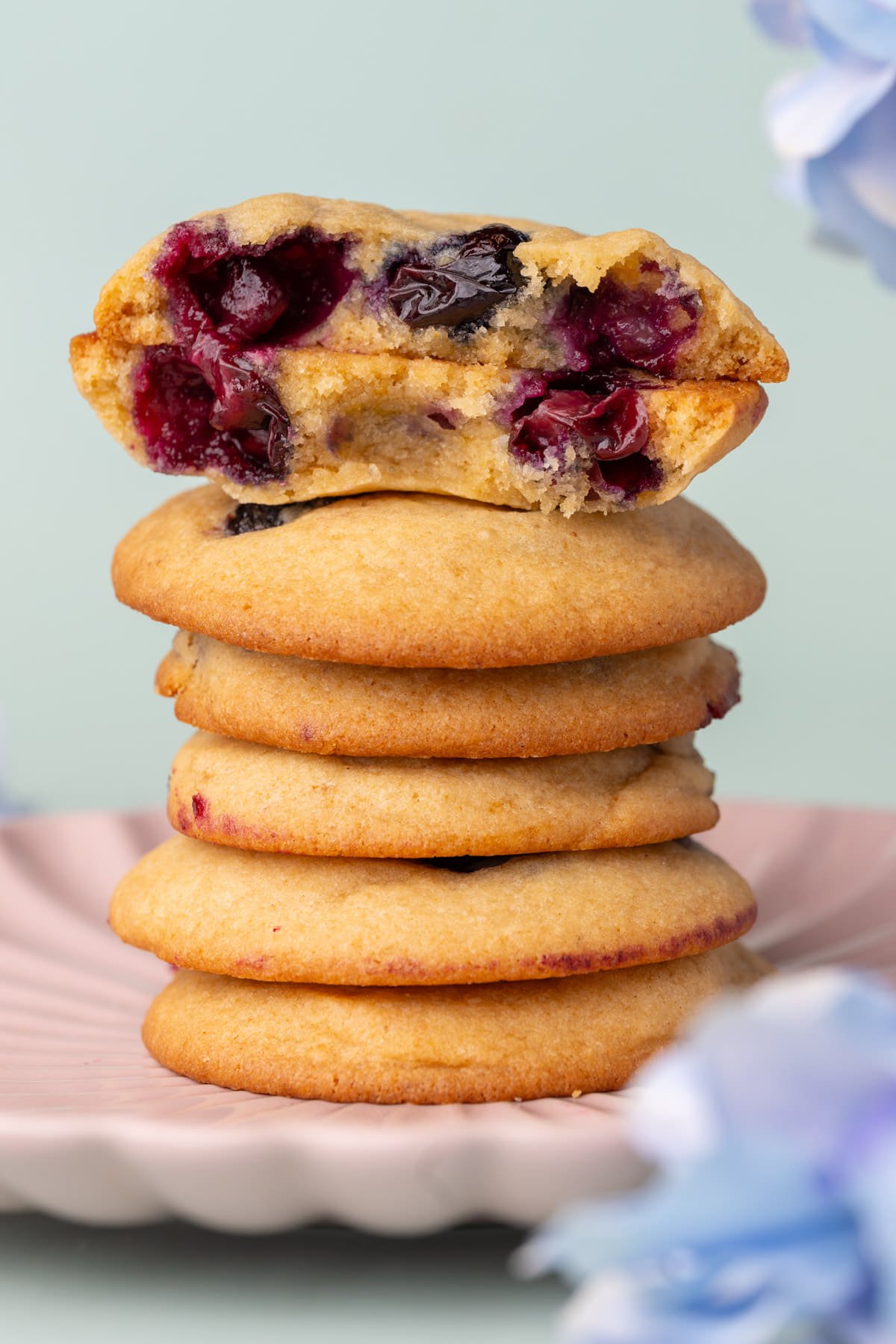 A stack of blueberry cookies with the one on top broke in half to reveal the berries on the inside. 
