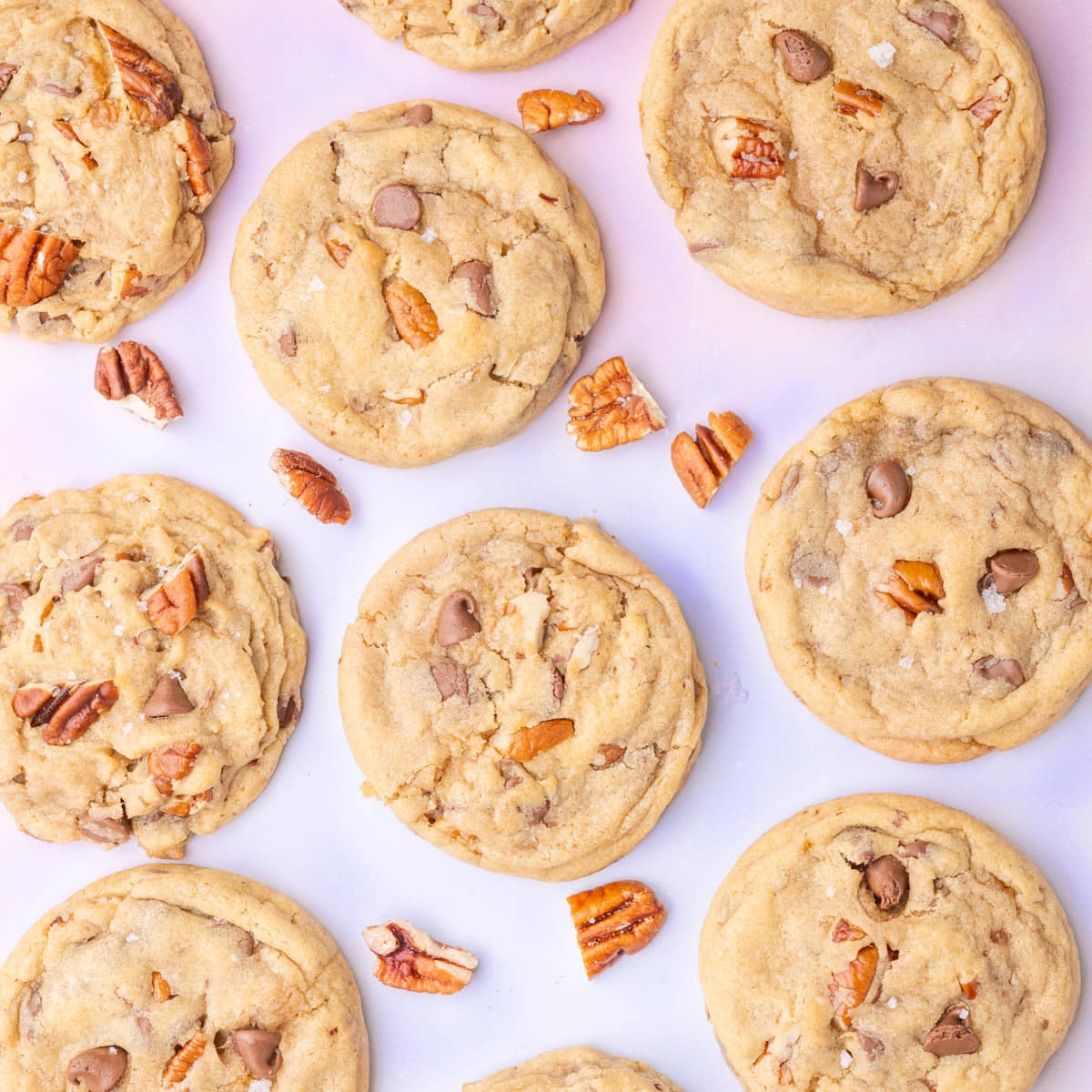 Overhead image of pecan chocolate chip cookies surrounded by pecans on a colorful background.
