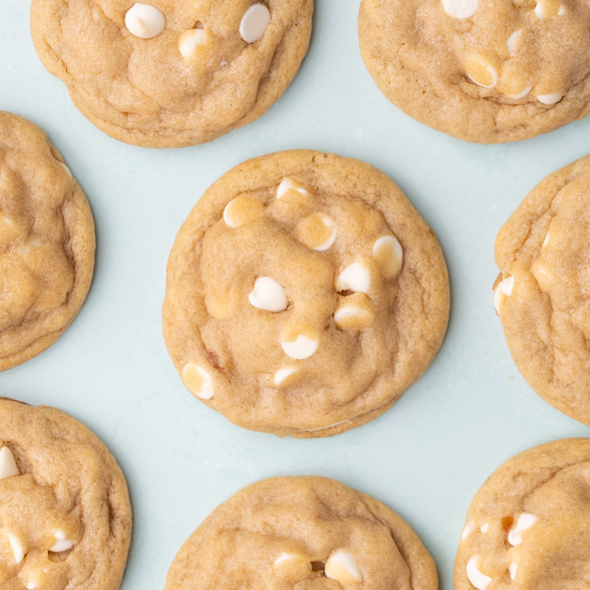 Chewy white chocolate chip cookies on a blue background.