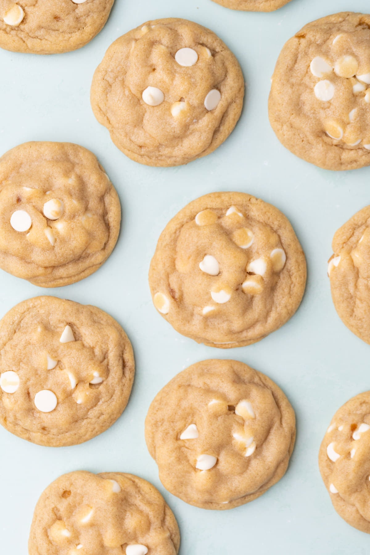 Overhead image of white chocolate cookies all lined up on a light blue background.