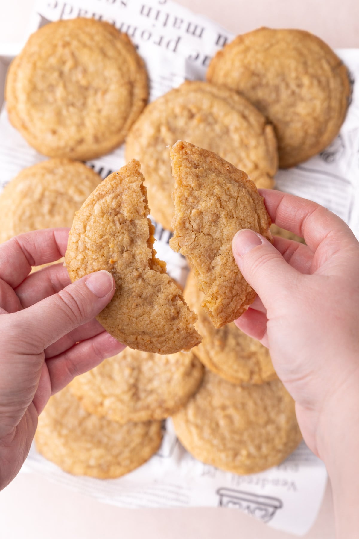 Breaking a butter crunch cookie with toffee bits in half in front of the camera.