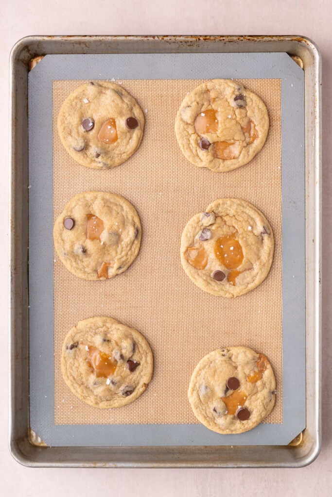 Chocolate chip caramel cookies fresh out of the oven cooling on the baking sheet.