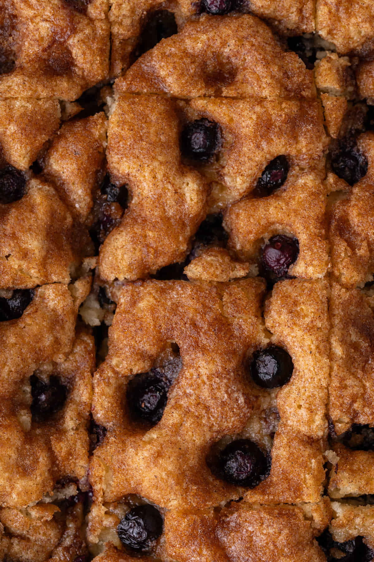 Close up of blueberry coffee cake that has been sliced into generous square pieces.
