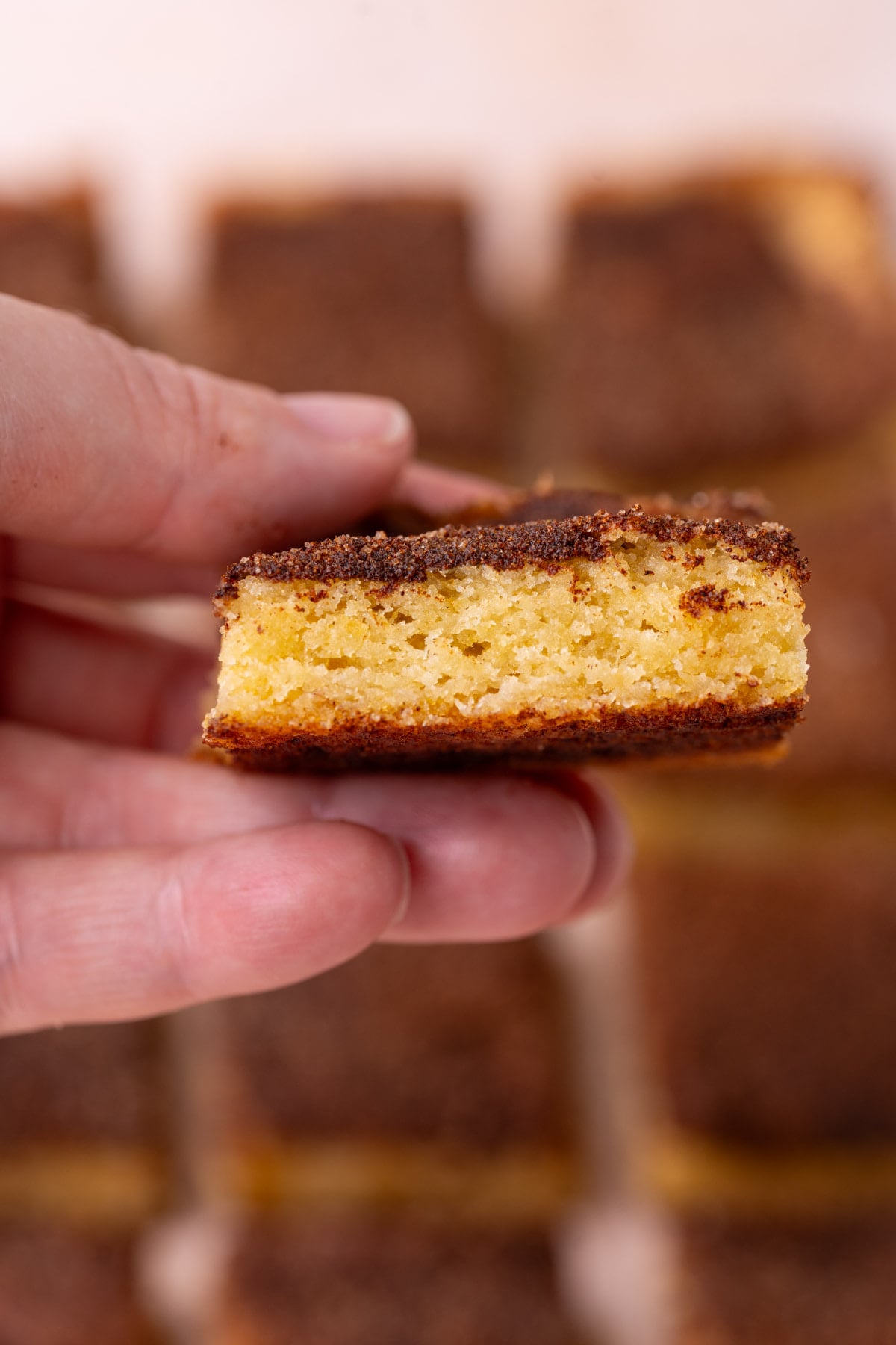 Snickerdoodles cookie bar held up to the camera to show the texture and cinnamon sugar on top and bottom.